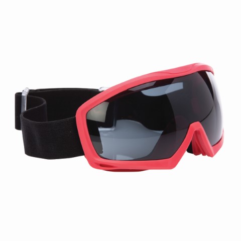 PRO INFERNO FR GOGGLE / RED FRAME SMOKE LENS